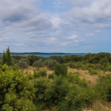 Apartman Antonio 4 * 풀라